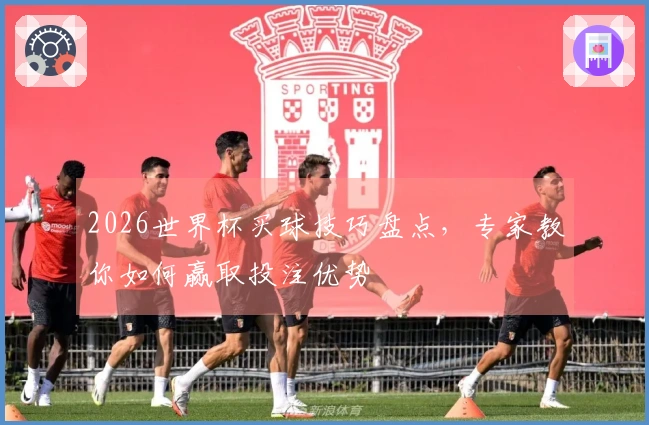 2026世界杯买球技巧盘点，专家教你如何赢取投注优势
