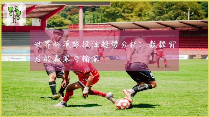 世界杯滚球投注趋势分析：数据背后的赢家与输家