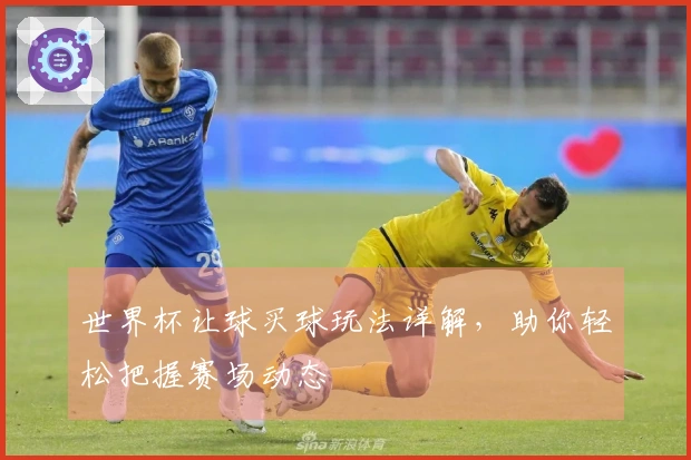 世界杯让球买球玩法详解，助你轻松把握赛场动态
