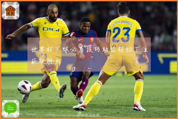 世界杯买球必看技巧助你轻松下注获取胜利
