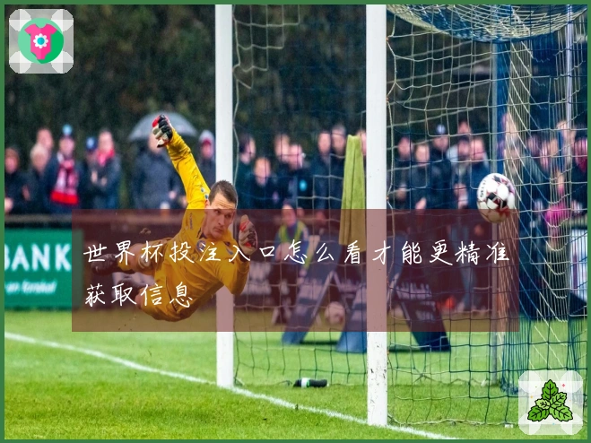 世界杯投注入口怎么看才能更精准获取信息