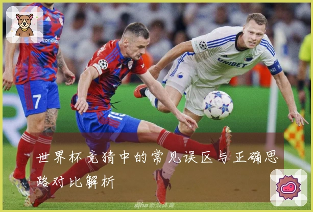 世界杯竞猜中的常见误区与正确思路对比解析
