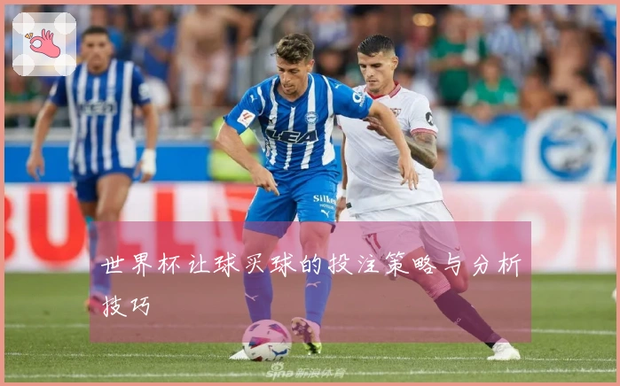 世界杯让球买球的投注策略与分析技巧