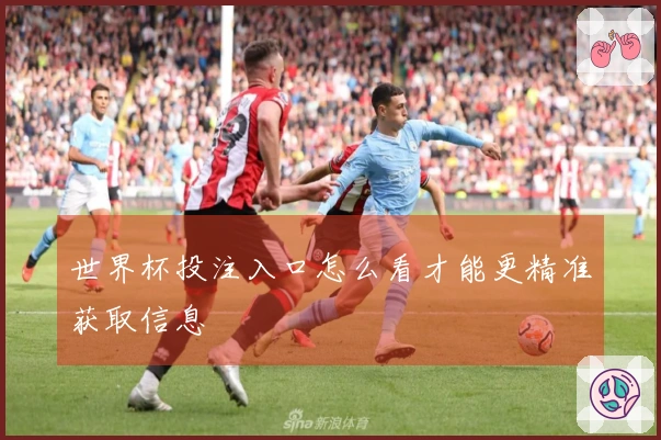世界杯投注入口怎么看才能更精准获取信息