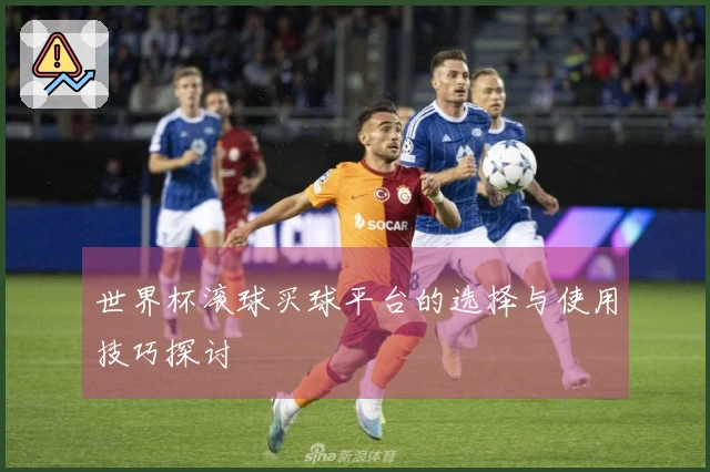 世界杯滚球买球平台的选择与使用技巧探讨