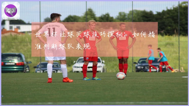 世界杯让球买球技巧探秘：如何精准判断球队表现