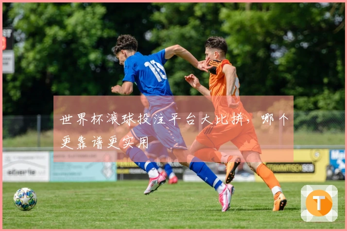世界杯滚球投注平台大比拼，哪个更靠谱更实用