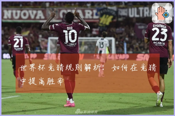 世界杯竞猜规则解析：如何在竞猜中提高胜率