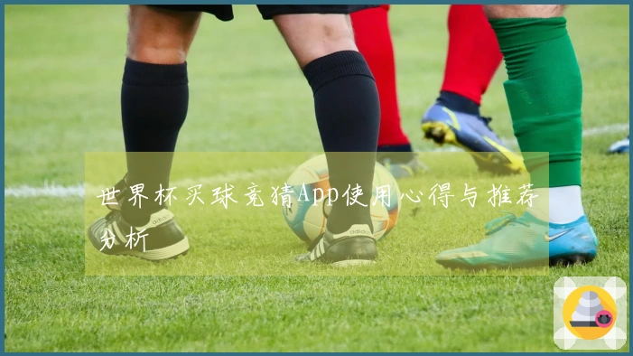 世界杯买球竞猜App使用心得与推荐分析