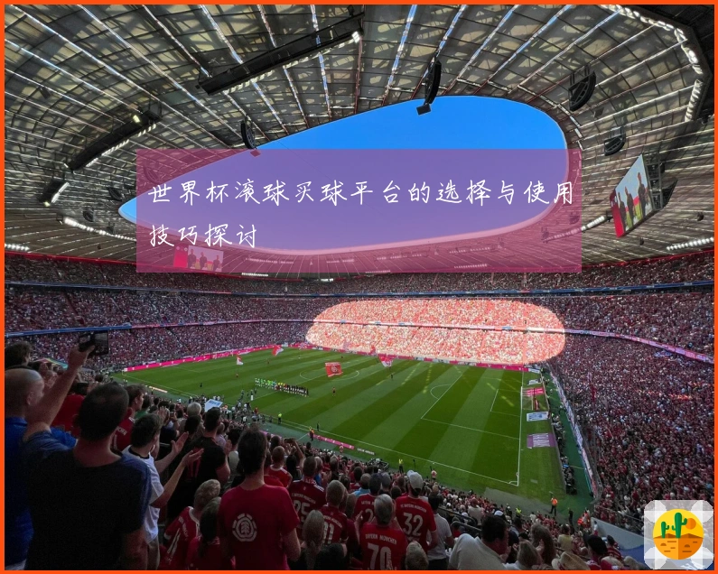 世界杯滚球买球平台的选择与使用技巧探讨